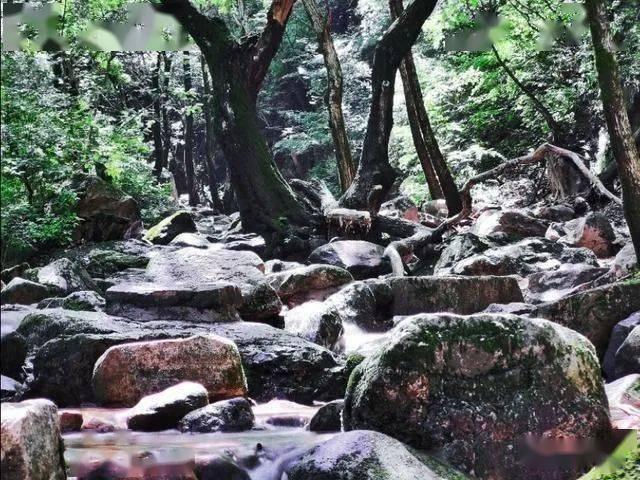 天津男篮大逆袭!胜过北京、广州等豪门队,跃居前十,42岁少帅傲人表现