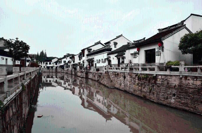了解百梦多咖喱为什么会苦?,加入知识星球平台